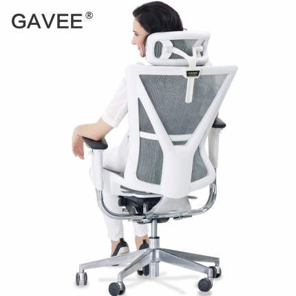 GAV-Y-1-1
